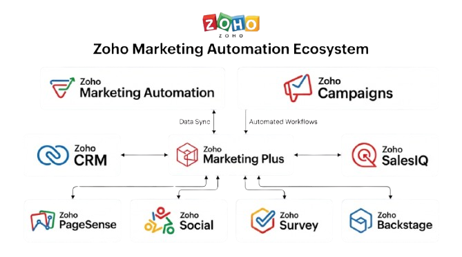 Zoho Marketing Automation Experts